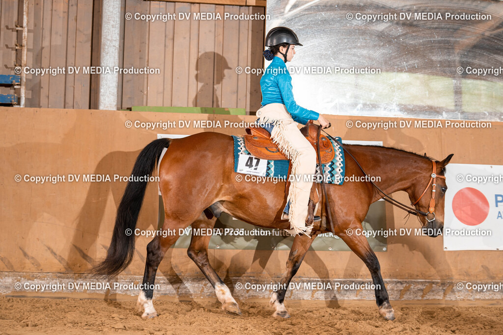 Losheim Tag 2-350 | dv-media-shop - Realisiert mit Pictrs.com