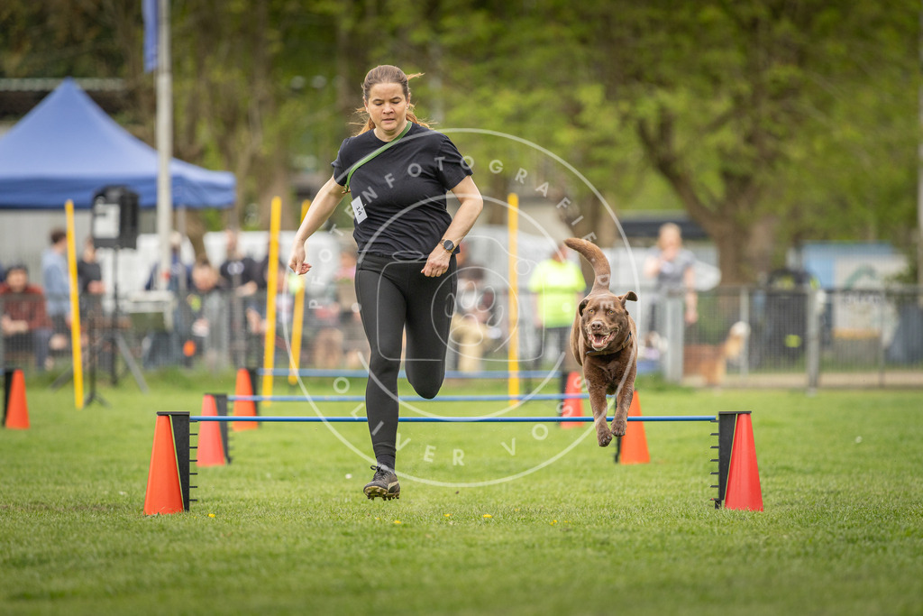 Pfotenfotografie_DV3A0454 | Hundefotografie, Tierfotograf, Pfotenfotografie, Fotoshooting Hund, Hunde Portrait, Hundesport, Hundeportraits, Heideshooting, Hunde, Sportfotograf, Hundefotograf, Turnierhundsport, THS,  - Realisiert mit Pictrs.com