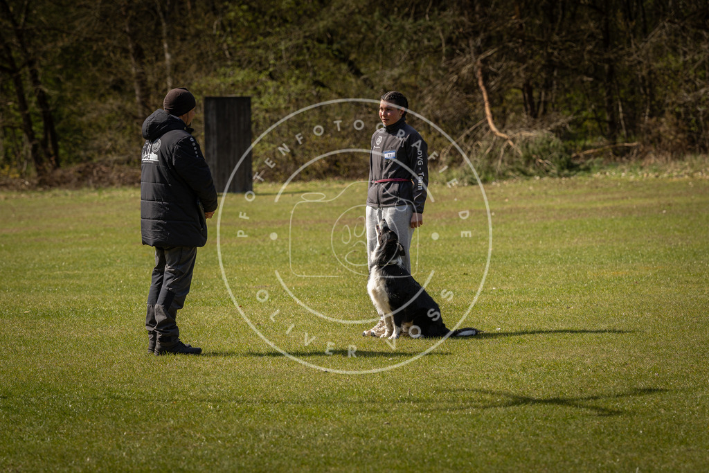 Pfotenfotografie_DV3A1168 | Hundefotografie, Tierfotograf, Pfotenfotografie, Fotoshooting Hund, Hunde Portrait, Hundesport, Hundeportraits, Heideshooting, Hunde, Sportfotograf, Hundefotograf, Turnierhundsport, THS,  - Realisiert mit Pictrs.com