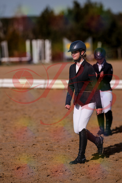 2026_10_03_Siefer-Hof_124717_Z81_39006041 | Professionelle Reitsport-, Turnier- und Eventfotografie von Robert Broda. Galerien mit ausgewählten und bearbeiteten Bildern direkt online ansehen und bestellen.