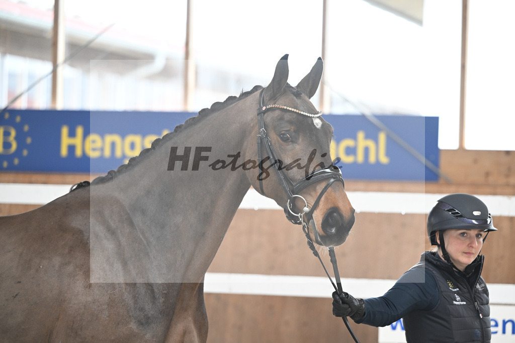 Kat-Nr. 1 Cellestina v Cellestial_Steidl_14260514 | hf-fotografie - Realisiert mit Pictrs.com