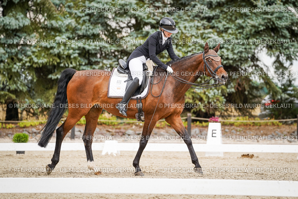 DSC05620 | Pferdegrafie