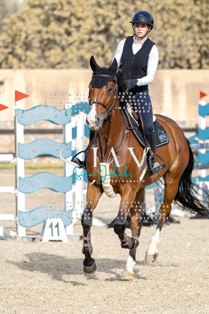 IMG_4274 | s-jay-photography - Realisiert mit Pictrs.com