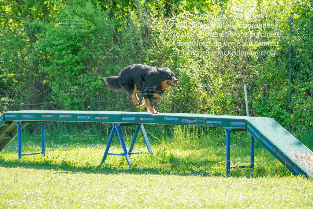 Sa_VK3_03-13 | stephaniefillaphotographie - Realisiert mit Pictrs.com