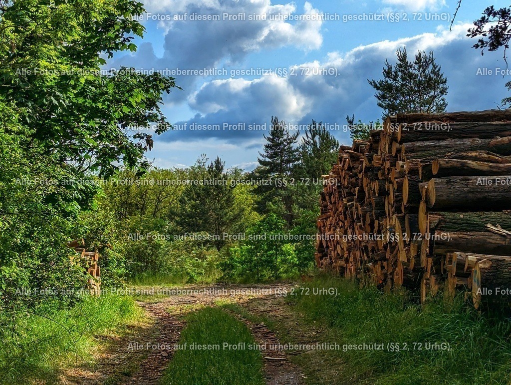 PXL_20230524_153650416-01 | krollfotografie - Realisiert mit Pictrs.com