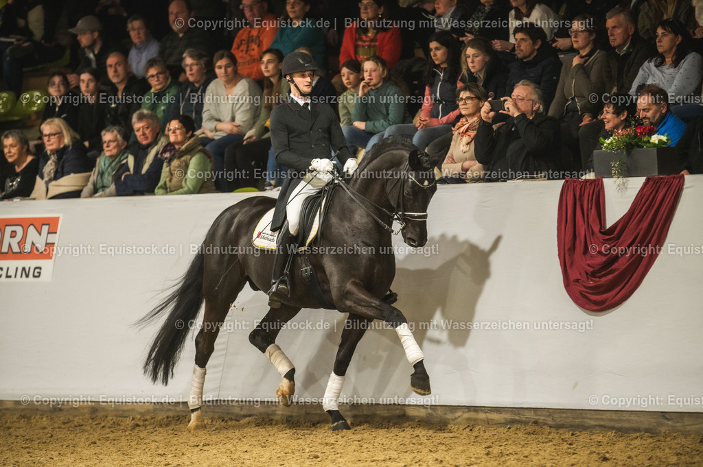 20240302_Hengstvorstellung_Marbach_TOMsPiC_1556-2 | equistock