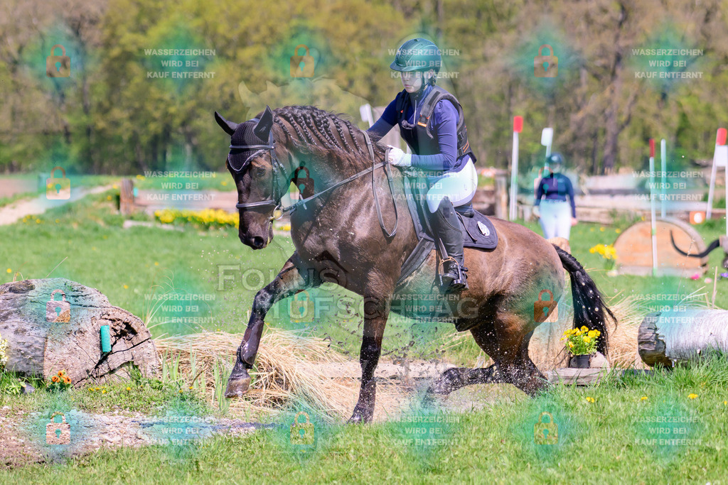 18042026-Gernlinden-01-1-0551 | Fokus Hufschlag Fotografie - Realisiert mit Pictrs.com