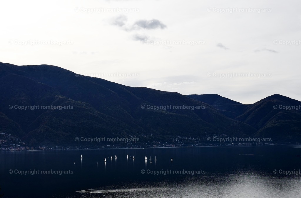 L1110847 | romberg-arts, romberg-arts.de, www.romberg-arts.de, Foto_Online_Shop, Julia Fuhrmann, Köln, Fotos, Fotografie, Fotokunst, Kunstdrucke, Naturfotos, Aktfotos, Nacktfotos, schwarz_weiß_Fotos, Blumenfotos, Blumen, Tiere, Beton, Korrosion, Lächeln, Drucke