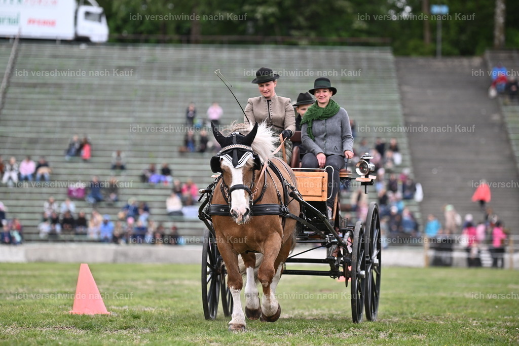 PI26_Show_Sara_Landvogt_226_1361.JPG | working equitationturnier fotograf videograf stoibphotography marixx film working equitation deutschland reitsport turnierfotografie eventfotografie equestrian events