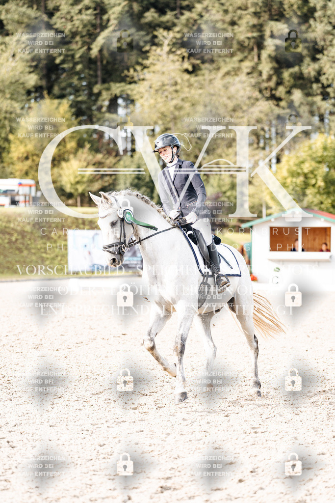 CK901394 | Turnierfotografie Pferdefotografie Trier Rheinland-Pfalz Pferdesport Reitsport Tierfotografie Sportfotografie Pferdevideo Pferdevideografie Equestrianvideography equestrianphotography  - Realisiert mit Pictrs.com