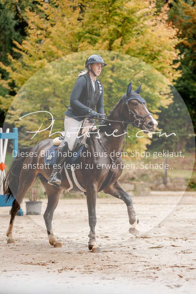 3I6A5601 | Stimmungsvolle Portraits und Reitsportfotografie im Ruhrgebiet und im Münsterland.

Pferdefotografie, Hundefotografie, Tierfotografie, Reportagen, Portraits von Tier und Mensch, Turnierfotografie in Bochum, Recklinghausen, Marl, Haltern am See, Dülmen.. - Realisiert mit Pictrs.com