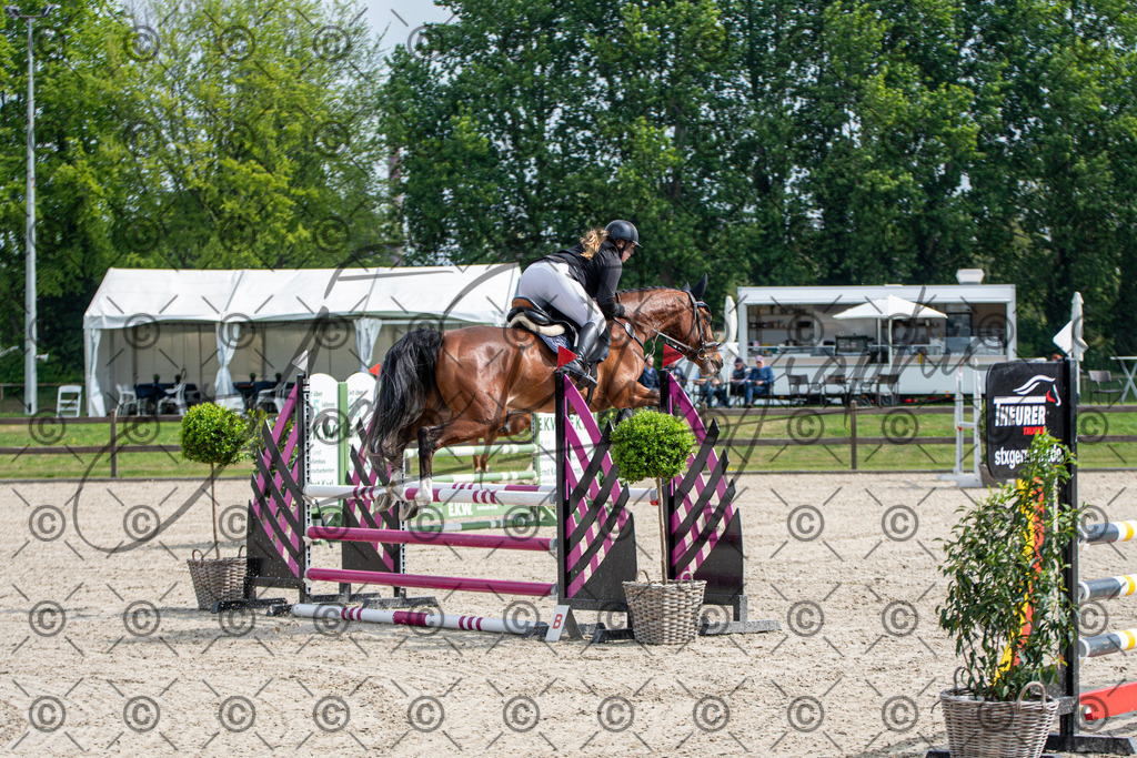 KPT_2498 | andre_photographic