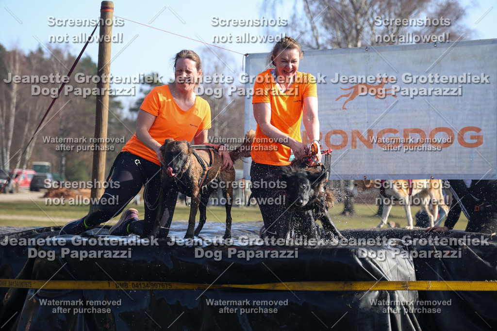 Dog Paparazzi - Strongdog North Mrz26-1255 | Dog Paparazzi Jeanette Grottendiek Fotografie & Videografie - Realisiert mit Pictrs.com