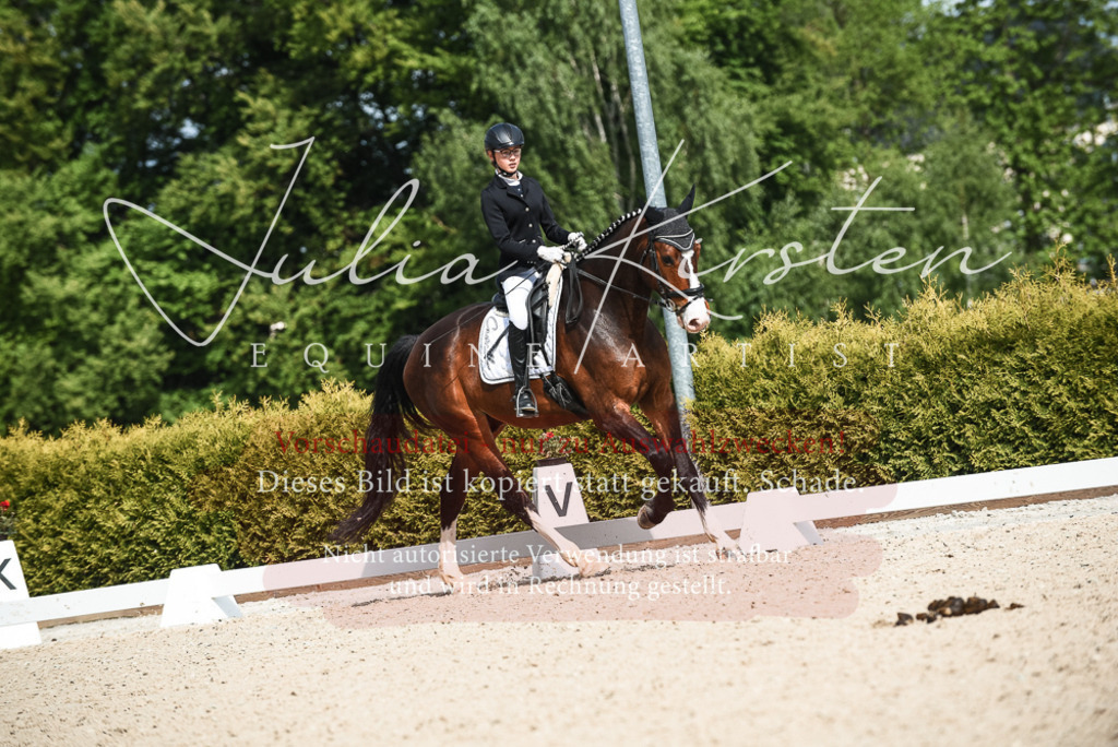 20230518_JK-Röhrsdorf-12-0147 | Pferde- und Turnierfotografie in Westsachsen. Pferdeportraits, Auftragszeichnungen und intuitive Kunst.
