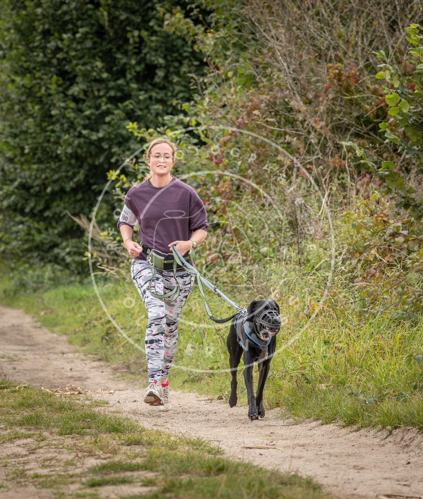 Pfotenfotografie_DV3A6660 | Hundefotografie, Tierfotograf, Pfotenfotografie, Fotoshooting Hund, Hunde Portrait, Hundesport, Hundeportraits, Heideshooting, Hunde, Sportfotograf, Hundefotograf, Turnierhundsport, THS,  - Realisiert mit Pictrs.com