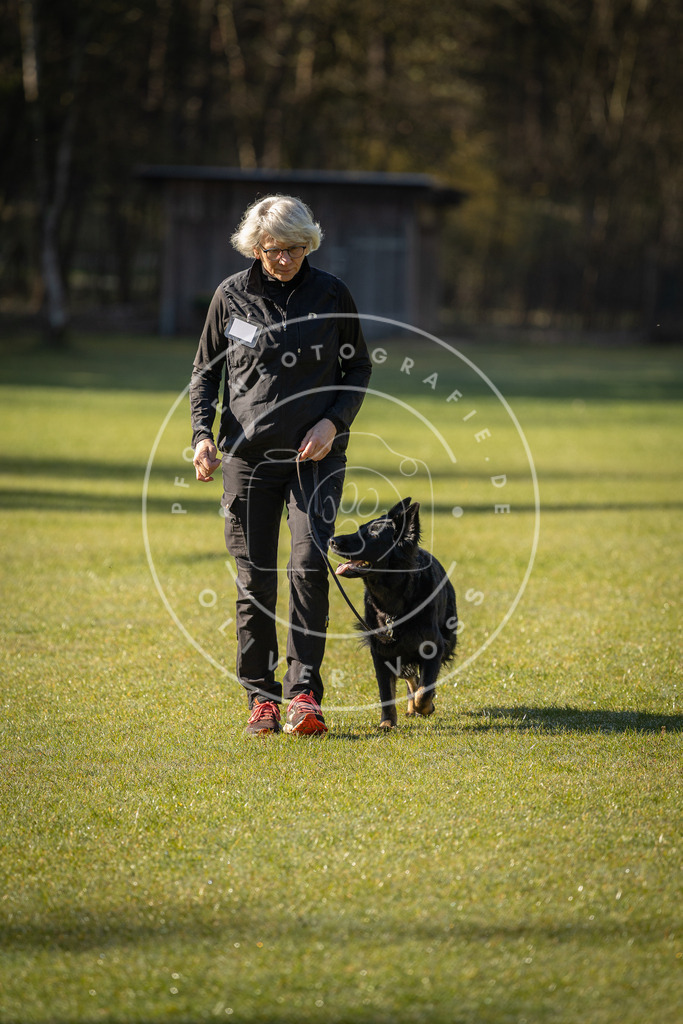 Pfotenfotografie_DV3A0016 | Hundefotografie, Tierfotograf, Pfotenfotografie, Fotoshooting Hund, Hunde Portrait, Hundesport, Hundeportraits, Heideshooting, Hunde, Sportfotograf, Hundefotograf, Turnierhundsport, THS,  - Realisiert mit Pictrs.com