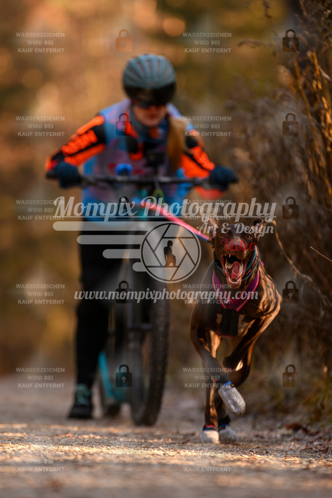 MompixPhotography_DM_AKDM_SO_2025_Scooter-121 | PayLife