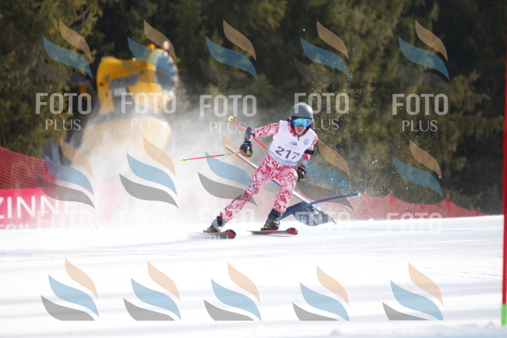 D8352 | holidayphoto