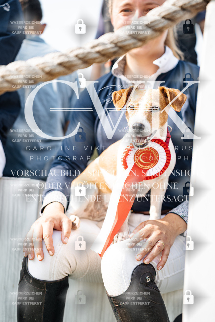 CK704401 | Turnierfotografie Pferdefotografie Trier Rheinland-Pfalz Pferdesport Reitsport Tierfotografie Sportfotografie Pferdevideo Pferdevideografie Equestrianvideography equestrianphotography  - Realisiert mit Pictrs.com