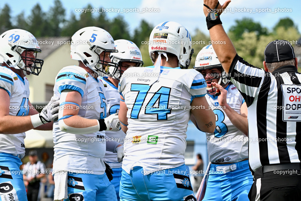 Carinthian Lions vs. Styrian Bears | Carinthian Lions vs. Styrian Bears, Carinthian Lions vs. Styrian Bears am 20.05.2024 in Klagenfurt (ASV Sportplatz), Austria, (Photo by Bernd Stefan)