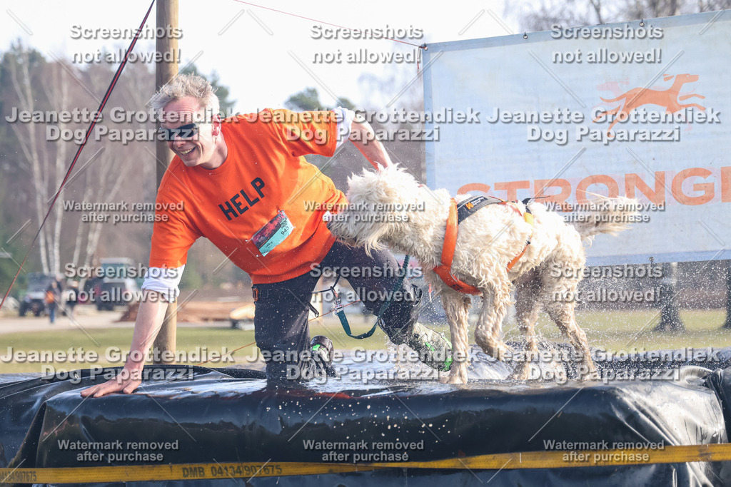 Dog Paparazzi - Strongdog North Mrz26-522 | Dog Paparazzi Jeanette Grottendiek Fotografie & Videografie - Realisiert mit Pictrs.com