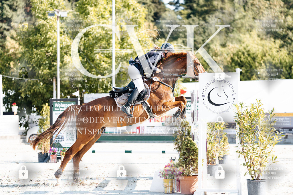 CK901770 | Turnierfotografie Pferdefotografie Trier Rheinland-Pfalz Pferdesport Reitsport Tierfotografie Sportfotografie Pferdevideo Pferdevideografie Equestrianvideography equestrianphotography  - Realisiert mit Pictrs.com