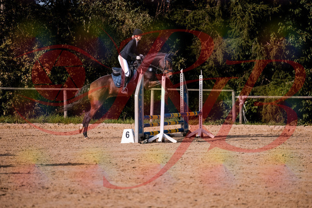 2026_10_03_Siefer-Hof_154155_Z81_59109976 | Professionelle Reitsport-, Turnier- und Eventfotografie von Robert Broda. Galerien mit ausgewählten und bearbeiteten Bildern direkt online ansehen und bestellen.