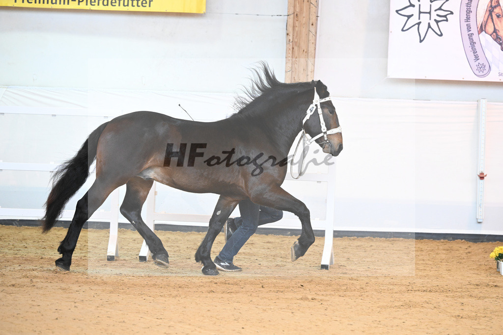 Kat-Nr. 4 v. Gladiator II_Zollhauser_2230031 | hf-fotografie - Realisiert mit Pictrs.com