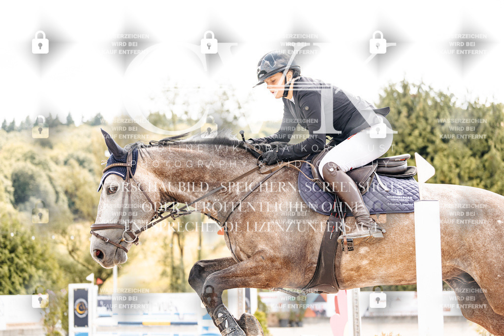 CK909005 | Turnierfotografie Pferdefotografie Trier Rheinland-Pfalz Pferdesport Reitsport Tierfotografie Sportfotografie Pferdevideo Pferdevideografie Equestrianvideography equestrianphotography  - Realisiert mit Pictrs.com