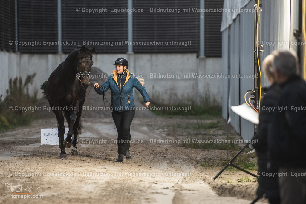 WEB_20241114_Vetcheck_TOMsPiC_0003 | Foto: Thomas Hartig