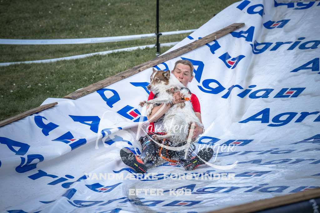 1059_ZZ90037 | kk-dogfotos