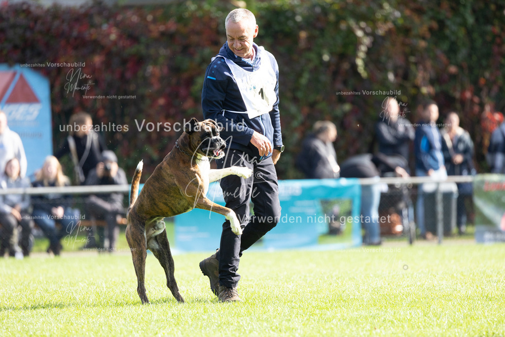 _16A5349 | Einzigartige Fotos von Hunden & Menschen –Actionfotos, Portraits, Vereinsaufnahmen & Paarshootings – authentisch, lebendig & mit Herz.