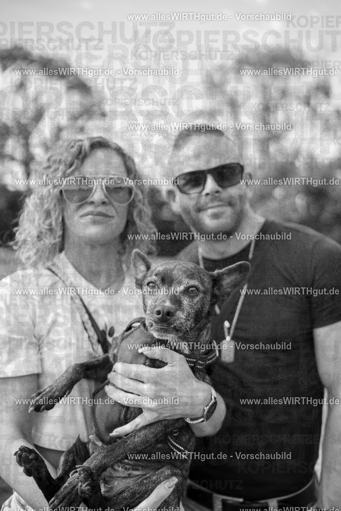 Hundeschwimmen_Volksbad_2026-allesWIRTHgut_Tierfotografie-2609061528-7R501553 | Professionelle Tierfotografie in Mönchengladbach von Daniel Wirth (allesWIRTHgut). Liebevolle & natürliche Bilder von Hunden & Katzen für unvergessliche Erinnerungen.