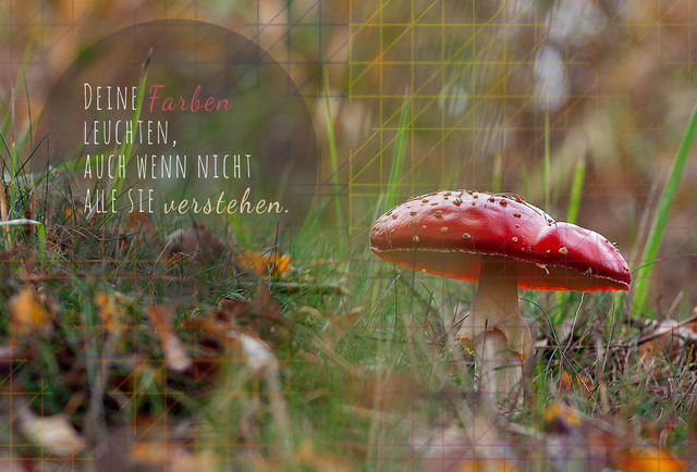 November_Fliegenpilz | Schöne Postkarten, Kalender und Fotogeschenke für verschiedene Anlässe online kaufen – Urlaubskarten, Geburtstagskarten, Karten, Polaroids und Geschenke zu Weihnachten, Ostern, Muttertag, Valentinstag oder zur Hochzeit - Realisiert mit Pictrs.com