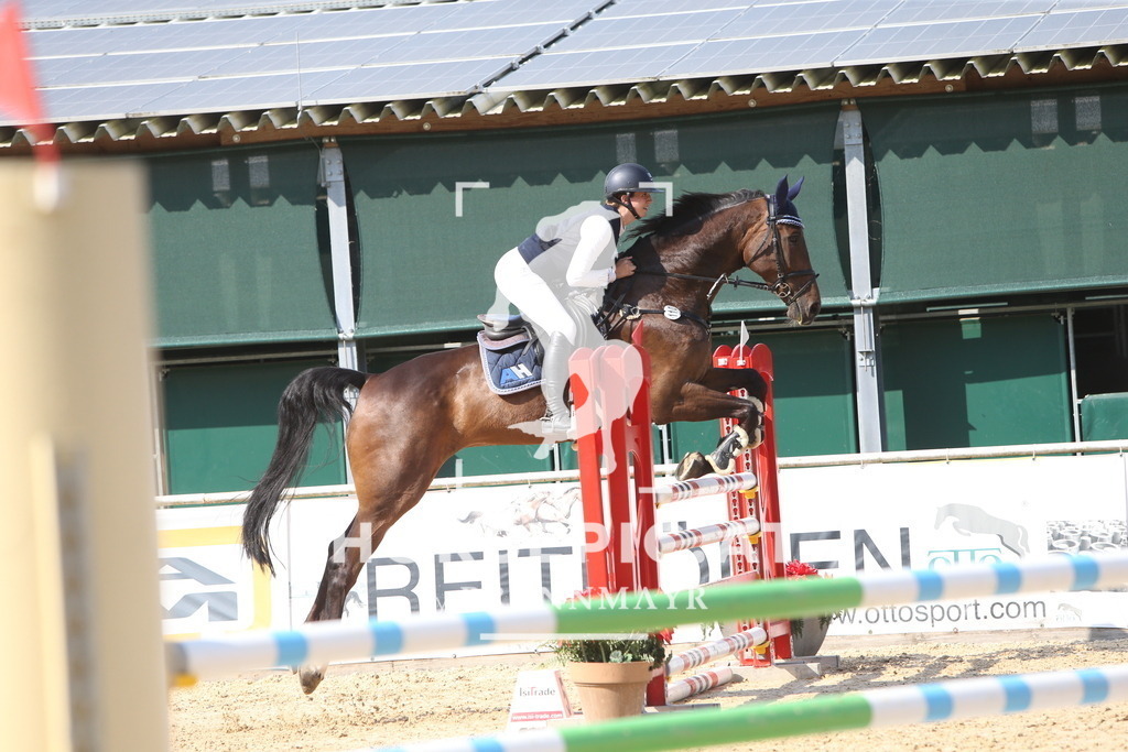 DL2Q2051 | Willkommen bei Brunnmayr - Design & Fotografie – Ihrem Spezialisten für Reitturniere und Pferdeveranstaltungen in Oberösterreich, Salzburg und Bayern! Seit über 17 Jahren sind wir leidenschaftlich dabei.