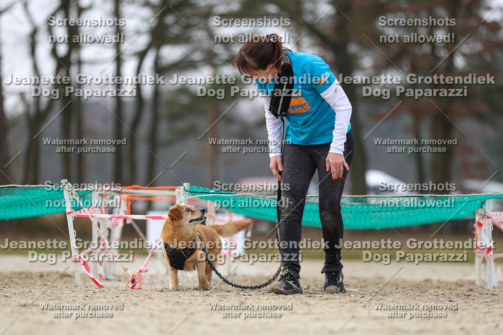Dog Paparazzi - Strongdog North Mrz26-4578 | Dog Paparazzi Jeanette Grottendiek Fotografie & Videografie - Realisiert mit Pictrs.com