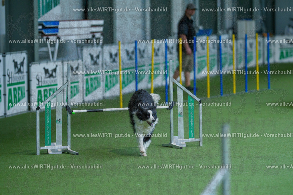 @allesWIRTHgut_Tierfotografie - www.allesWIRTHgut.de - 2604261509-7R504704 | Professionelle Tierfotografie in Mönchengladbach von Daniel Wirth (allesWIRTHgut). Liebevolle & natürliche Bilder von Hunden & Katzen für unvergessliche Erinnerungen.