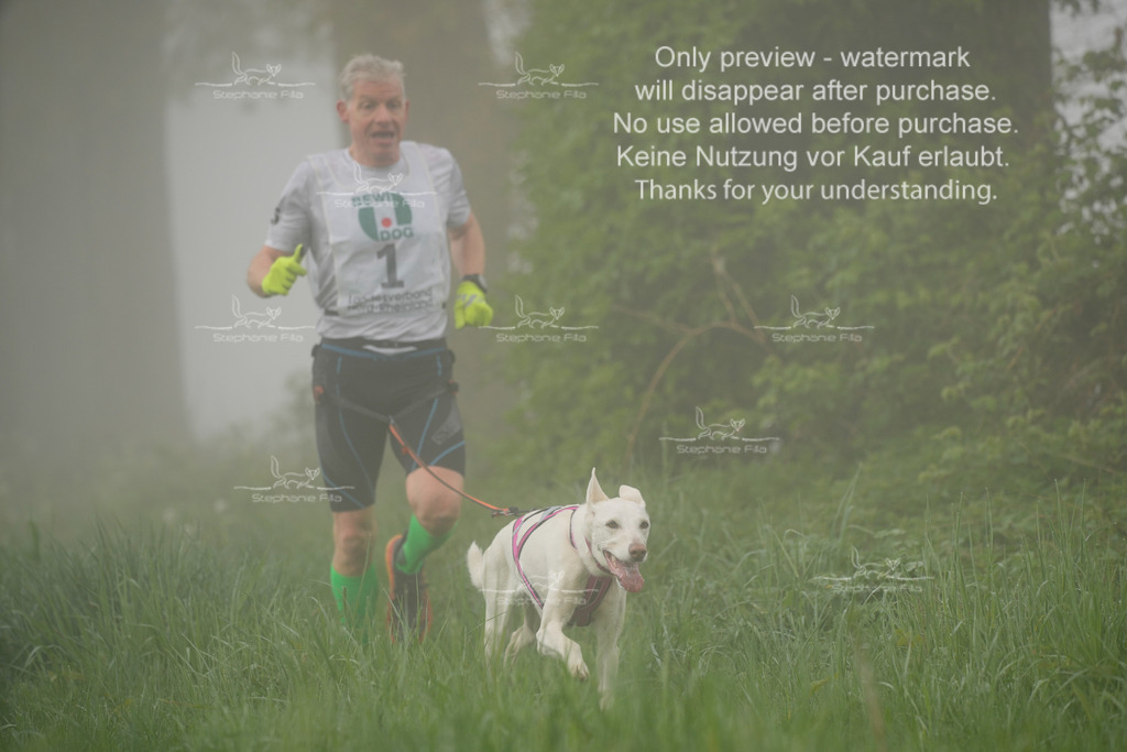 SA_GL2-3 | stephaniefillaphotographie - Realisiert mit Pictrs.com