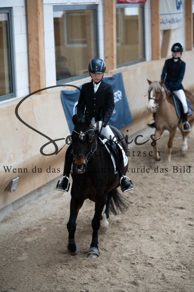 A7V09958 | Pferdefotograf