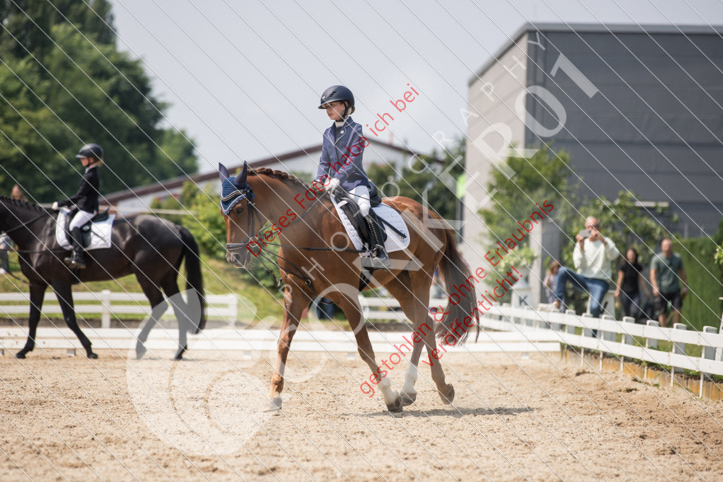 IMG_3937 | Sport-, Event- und Tierfotos in Profiqualität. Einfach auswählen, bestellen und herunterladen. Dein Moment – perfekt festgehalten.