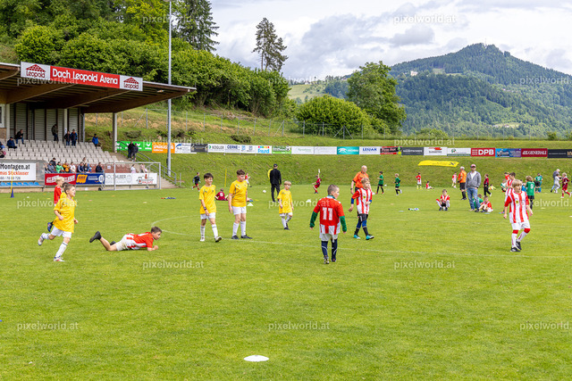 Raiffeisen Volksschulen-Cup im Bezirk Feldkirchen | Bildershop von pixelworld.at - Realisiert mit Pictrs.com