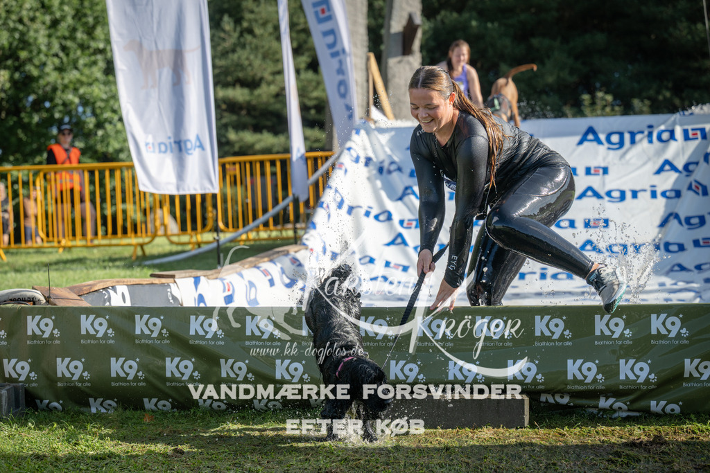 0950_ZZ97243 | kk-dogfotos