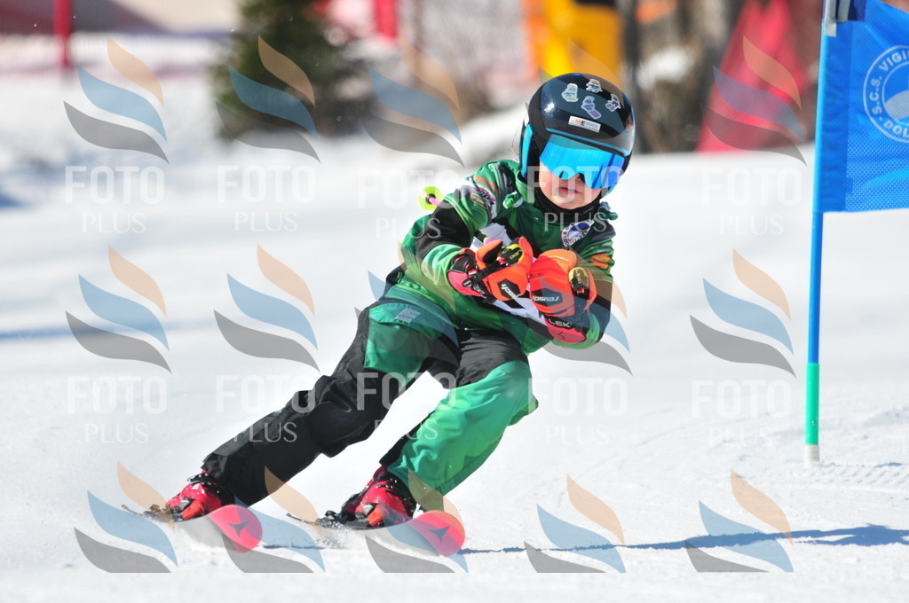 C3039 | holidayphoto