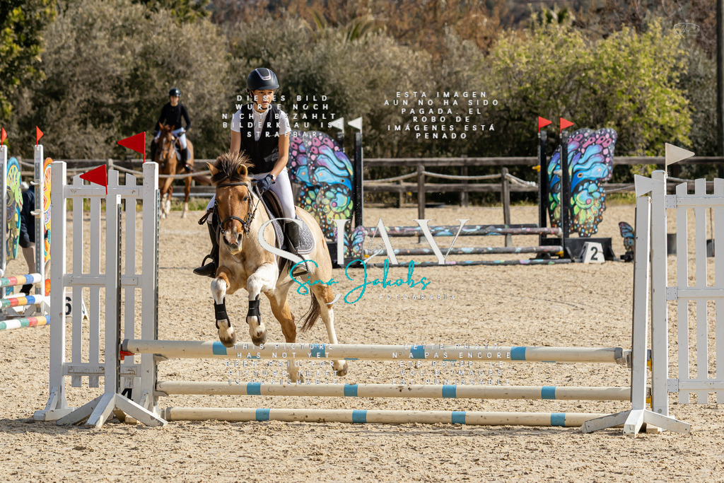 IMG_4277 | s-jay-photography - Realisiert mit Pictrs.com