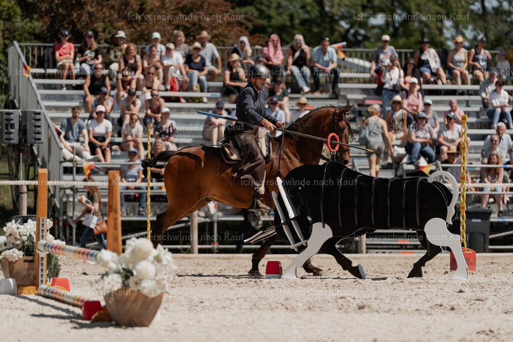 WE_SP_Stoib_313_PI2025_1770 | Pferd International München 2025