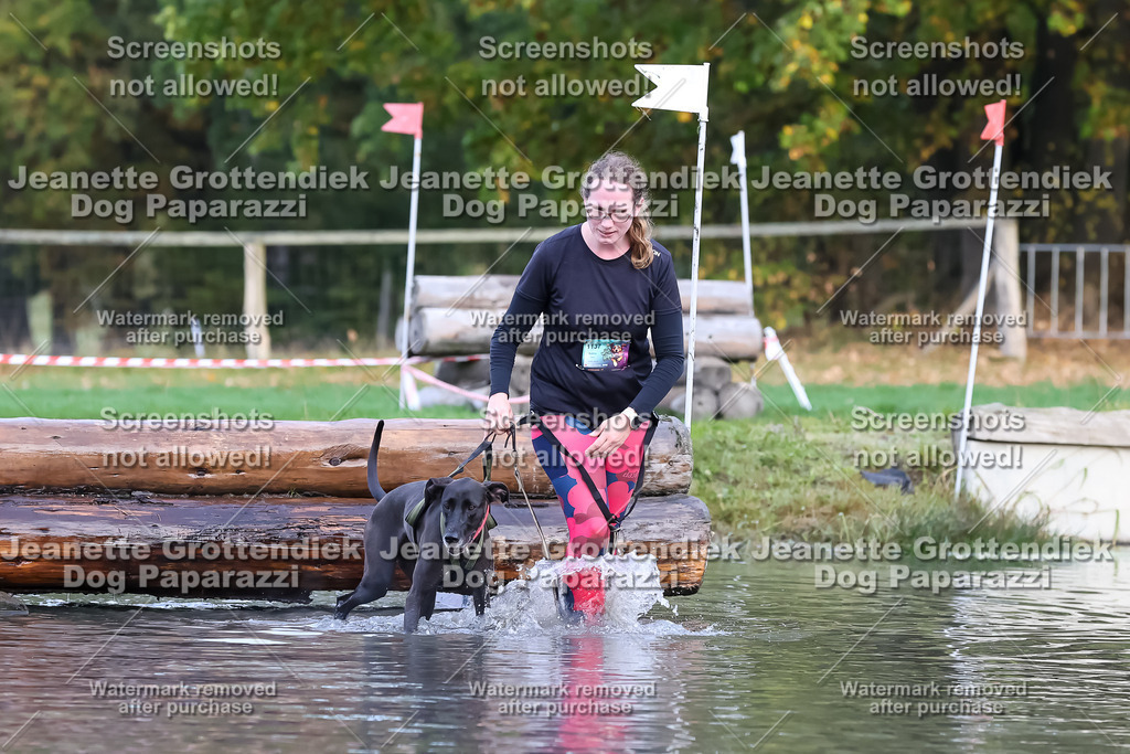 Dog Paparazzi - Strongdog 10-25-6716 | Dog Paparazzi Jeanette Grottendiek Fotografie & Videografie - Realisiert mit Pictrs.com