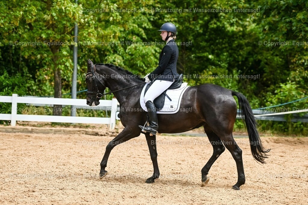 20230715_05_Dressurprüfung Kl.A++_0351 | equistock