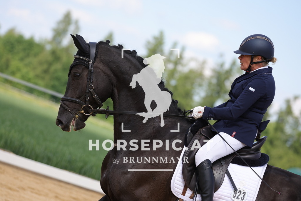 0P6A9100 | Willkommen bei Brunnmayr - Design & Fotografie – Ihrem Spezialisten für Reitturniere und Pferdeveranstaltungen in Oberösterreich, Salzburg und Bayern! Seit über 17 Jahren sind wir leidenschaftlich dabei.