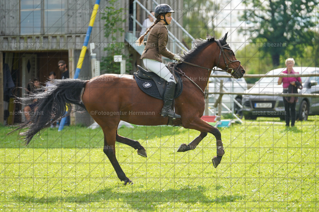 20230917-FAH09234 | Landsberg am Lech, 2023, Kaufbeuren, Kempten, Allgäu, Turnierfotografen Bayern, Fotoagentur Herrmann, Turnierbilder, Reitsport Fotos, Pferdefotograf, Augsburg, Bad Tölz, Dachau, Karlsfeld, Memmingen, Buchloe, Schwabmünchen