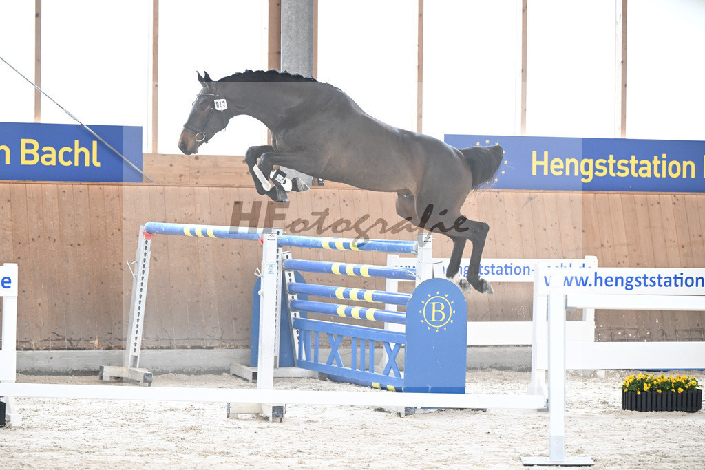 Kat-Nr. 13 Courchevel B v. Cizero Z_Bachl_5251350 | hf-fotografie - Realisiert mit Pictrs.com